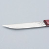 Kazoku AUS10 Damask Steak Knife Red 11 cm