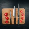 Kazoku Kurashikku Knife Set 3 Pieces