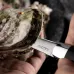 Kazoku Oyster Knife