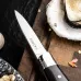 Kazoku Oyster Knife