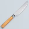 Kazoku Ketsugo Steak Knife 12 cm + Leather Cover